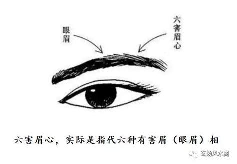 六害眉|什么是六害眉 面相六害眉算命图解